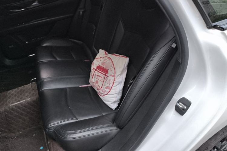 Used Cadillac CT6 2019 28T Luxury Model Left Rear Seat