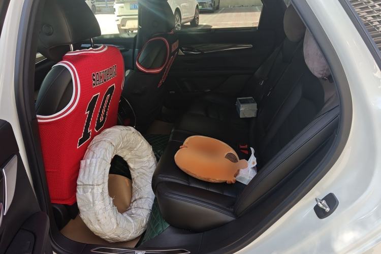 Used Cadillac CT6 2019 28T Leading Sport Model Left Rear Seat