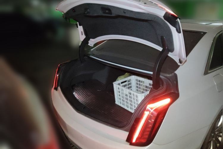 Used Cadillac CT6 2019 28T Luxury Model Trunk