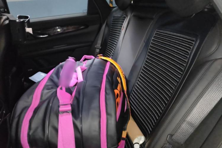 Used Cadillac CT6 2021 28T Luxury Version Left Rear Seat