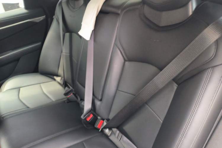 Used Cadillac CT6 2023 28T Luxury Version Left Rear Seat