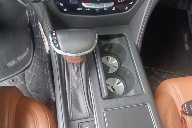 Used Cadillac CT6 PLUG-IN 2017 30E Premier Edition Gear Lever
