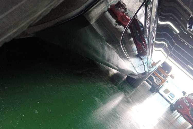 Used Cadillac CT6 PLUG-IN 2017 30E Elite Version Right Side Sill