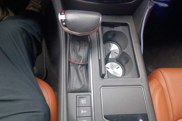 Used Cadillac CT6 PLUG-IN 2017 30E Premier Edition Gear Lever
