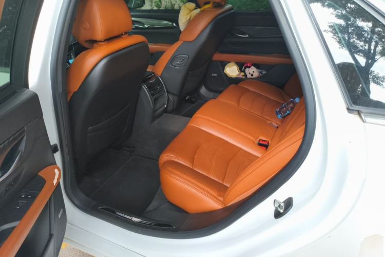 Used Cadillac CT6 PLUG-IN 2017 30E Premier Edition Left Rear Seat