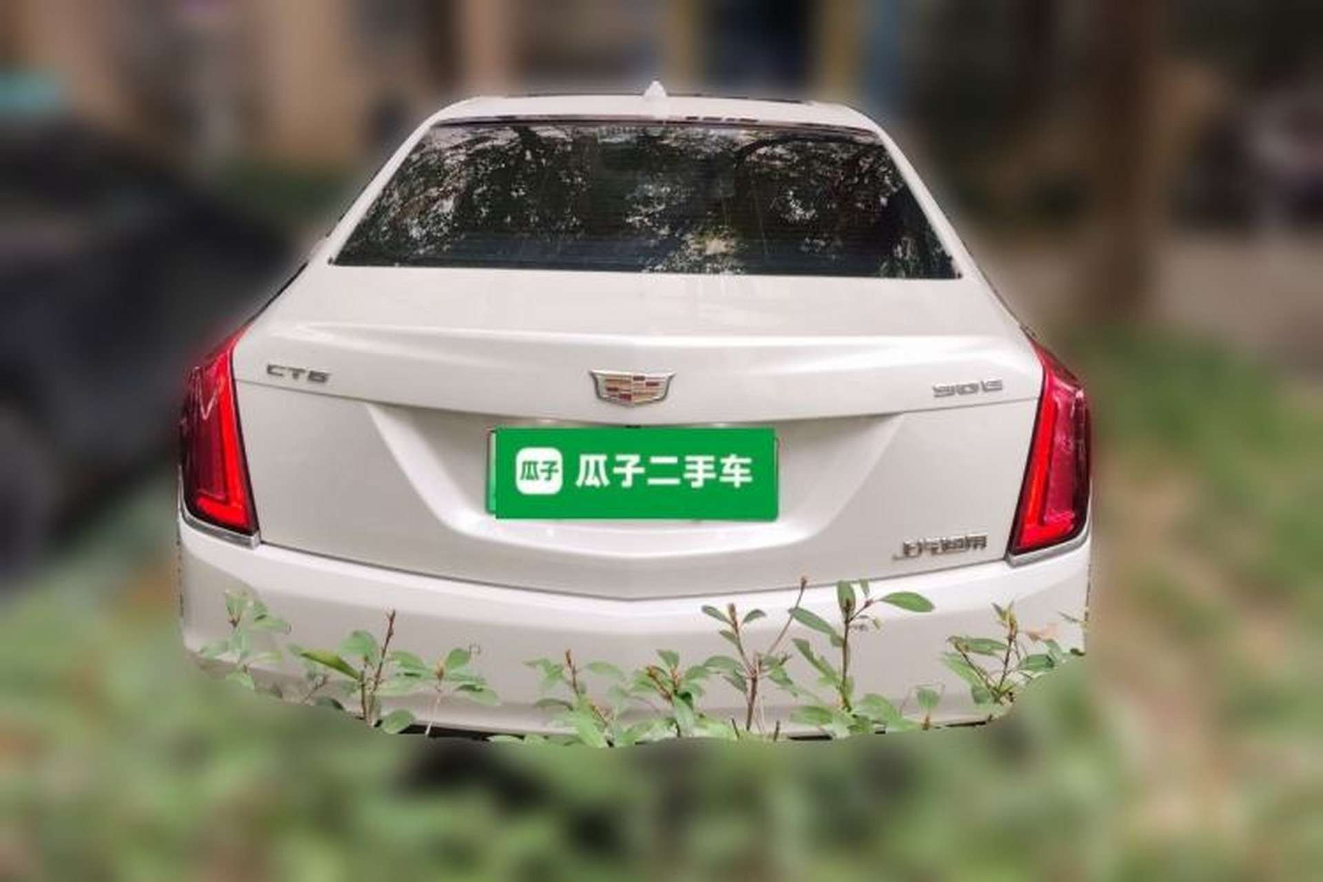 Used Cadillac CT6 PLUG-IN 2017 30E Elite Version Rear