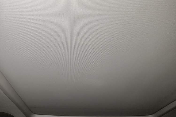 Used Cadillac CTS 2008 3.6L Elite High-Performance Version Headliner