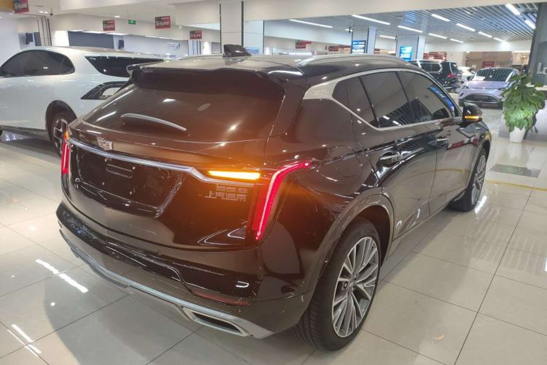 Used Cadillac GT4 2023 25T Luxury Model Exterior 5