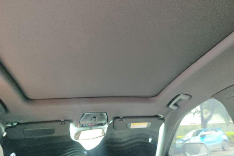 Used Cadillac GT4 2023 25T Luxury Model Headliner