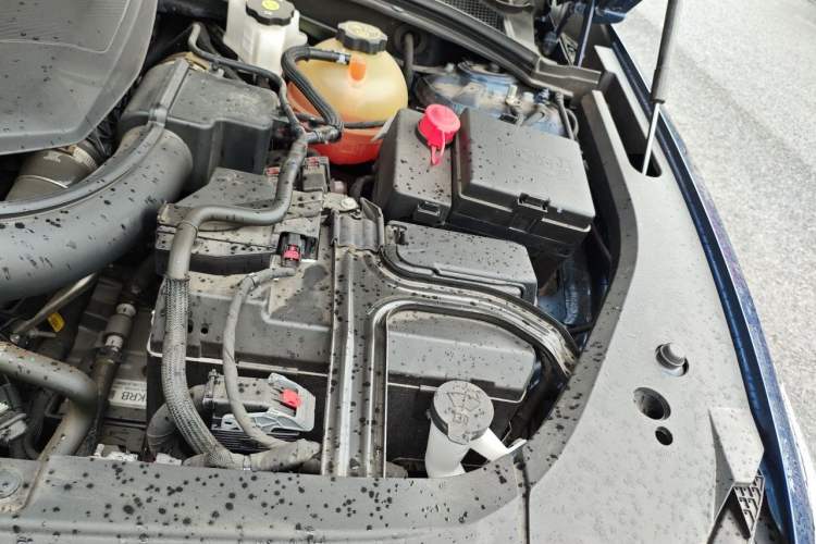 Used Cadillac GT4 2023 25T Prestige Version Engine Bay Left