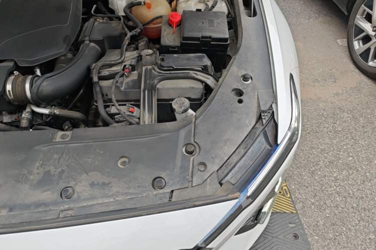 Used Cadillac GT4 2023 25T Luxury Model Engine Bay Left