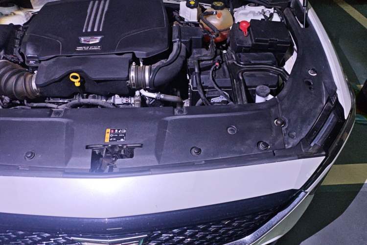 Used Cadillac GT4 2023 25T Luxury Model Engine Bay Left