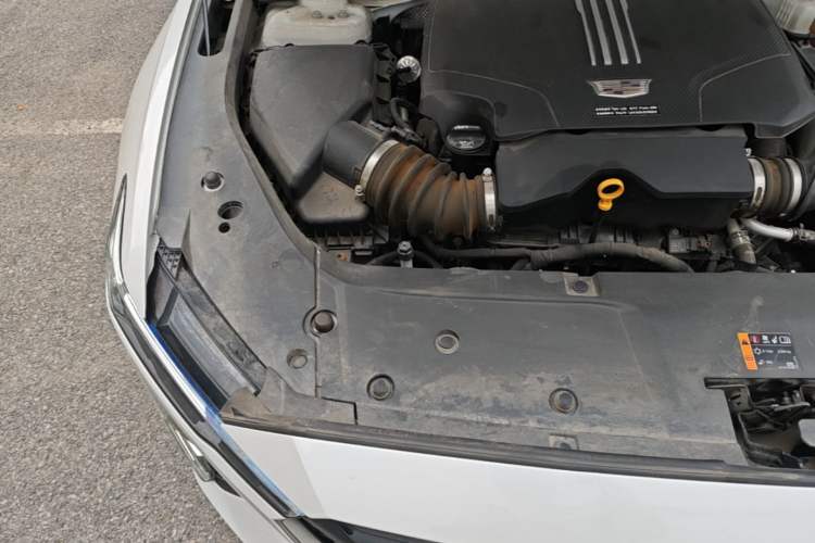Used Cadillac GT4 2023 25T Luxury Model Engine Bay Right