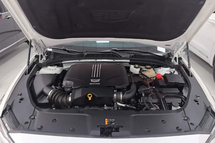 Used Cadillac GT4 2023 25T Luxury Model Engine Bay