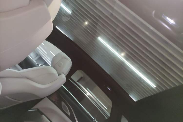 Used Cadillac LYRIQ 2022 Rear-Drive Long-Range Luxury Edition Headliner