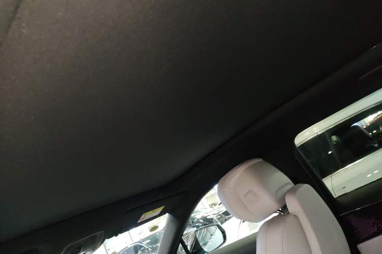 Used Cadillac LYRIQ 2022 Rear-Drive Long-Range Luxury Edition Headliner