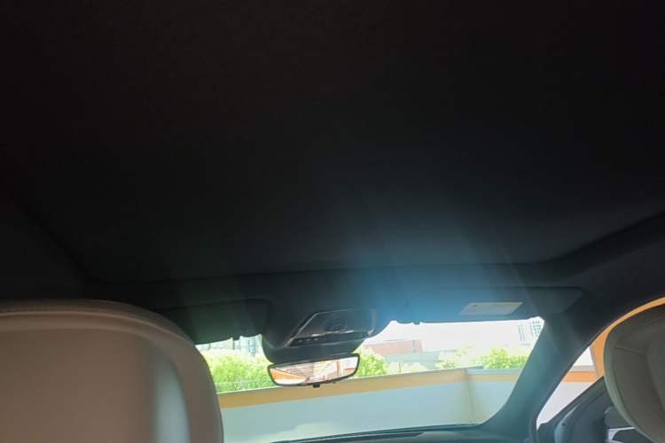 Used Cadillac LYRIQ 2022 Rear-Drive Long-Range Luxury Edition Headliner