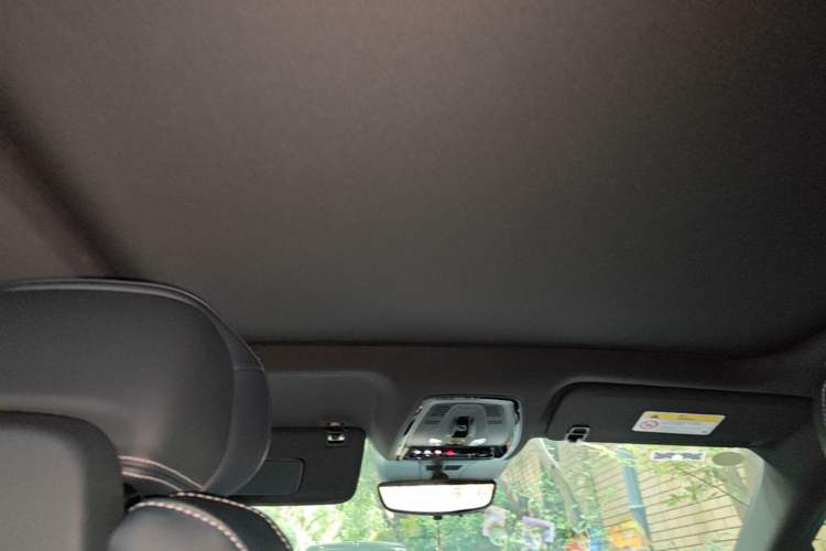 Used Cadillac LYRIQ 2022 Rear-Drive Long-Range Prestige Edition Headliner
