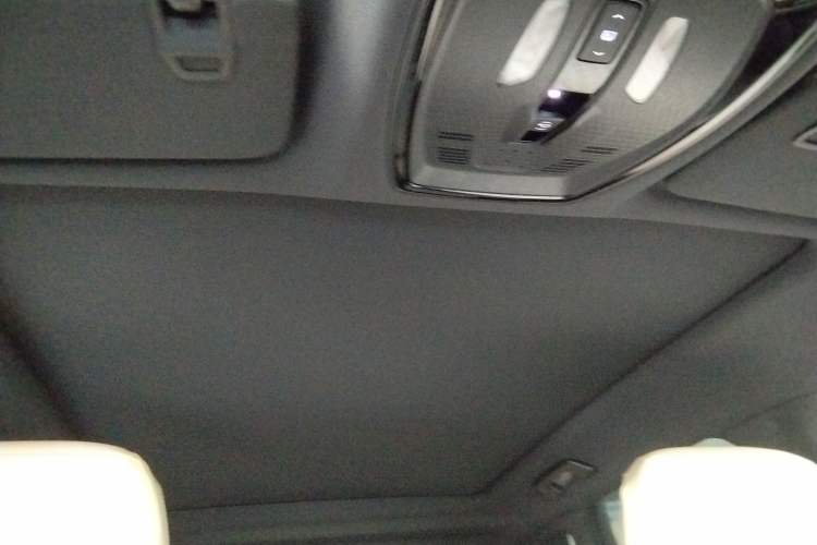 Used Cadillac LYRIQ 2022 Four-Wheel-Drive High-Performance Deluxe Edition Headliner