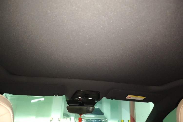 Used Cadillac LYRIQ 2022 Rear-Drive Long-Range Prestige Edition Headliner