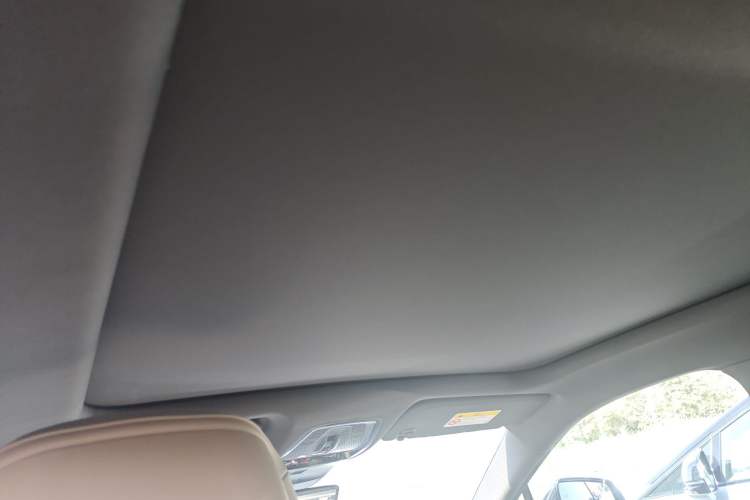 Used Cadillac LYRIQ 2022 Rear-Drive Long-Range Prestige Edition Headliner