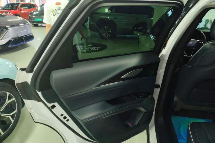 Used Cadillac LYRIQ 2022 Four-Wheel-Drive High-Performance Deluxe Edition Left Rear Door Interior