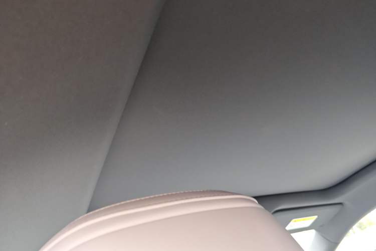 Used Cadillac LYRIQ 2024 Rear-Drive Standard Range Luxury Edition Headliner