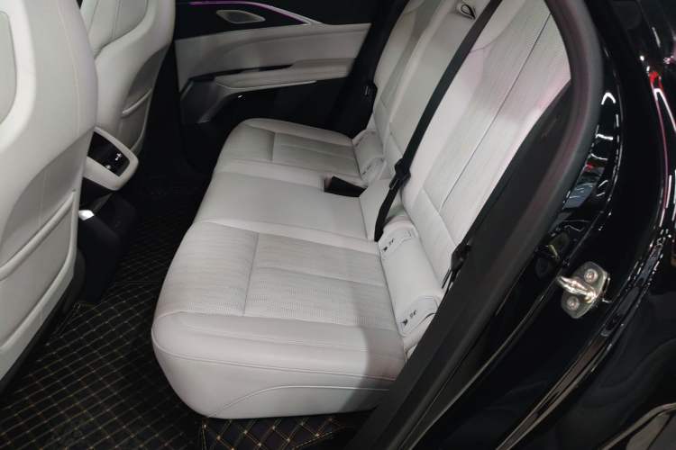 Used Cadillac LYRIQ 2024 Rear-Drive Standard Range Luxury Edition Left Rear Seat