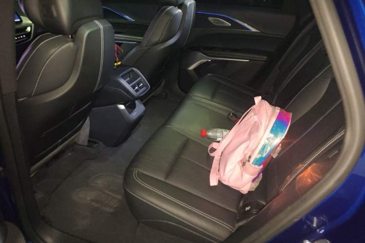 Used Cadillac LYRIQ 2024 Rear-Drive Standard Range Luxury Edition Left Rear Seat