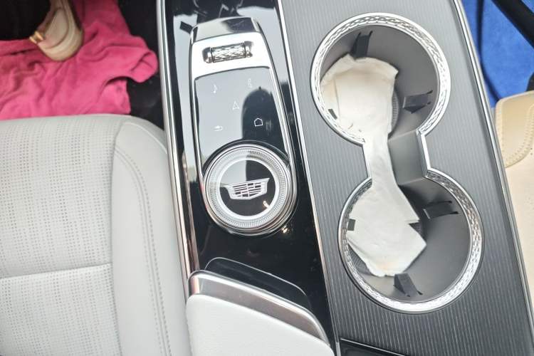 Used Cadillac LYRIQ 2024 Rear-Drive Standard Range Luxury Edition Gear Lever