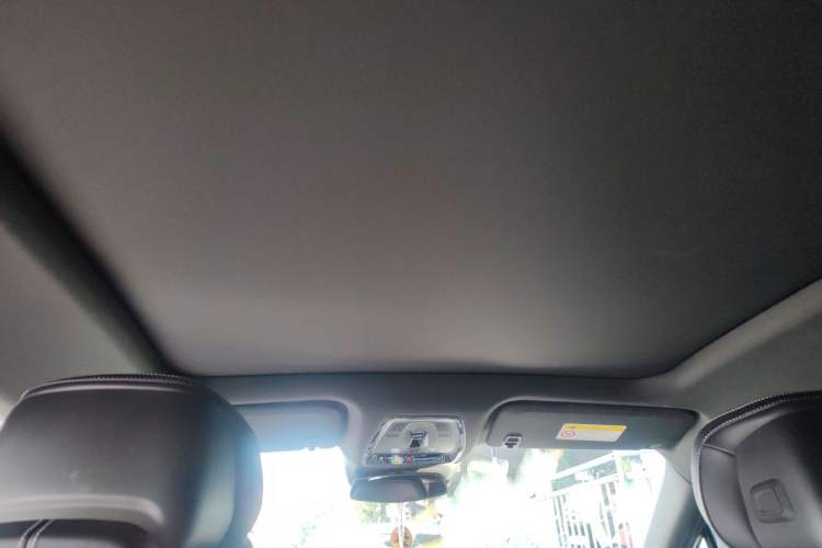 Used Cadillac LYRIQ 2024 Rear-Drive Standard Range Luxury Edition Headliner