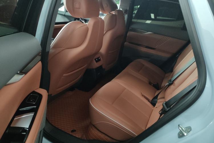 Used Cadillac OPTIQ 2024 Four-Wheel Drive Long-Range Version Left Rear Seat