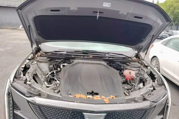 Used Cadillac OPTIQ 2024 Four-Wheel Drive Long-Range Version Engine Bay