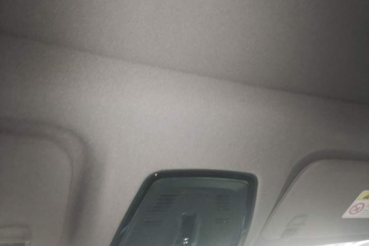 Used Cadillac OPTIQ 2024 Four-Wheel Drive Long-Range Version Headliner