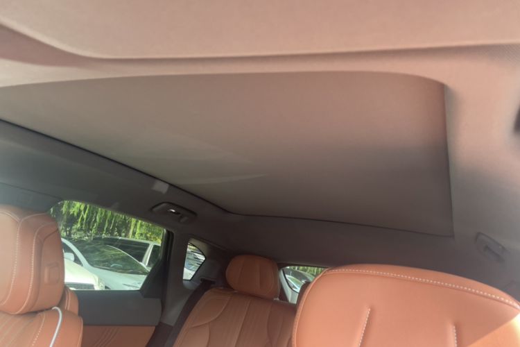 Used Cadillac OPTIQ 2024 Four-Wheel Drive Long-Range Version Interior 9