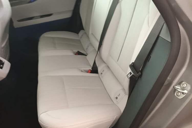 Used Cadillac OPTIQ 2024 Four-Wheel Drive Long-Range Version Left Rear Seat