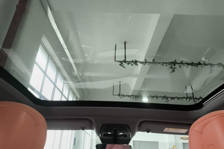 Used Cadillac OPTIQ 2024 Four-Wheel Drive Long-Range Version Headliner