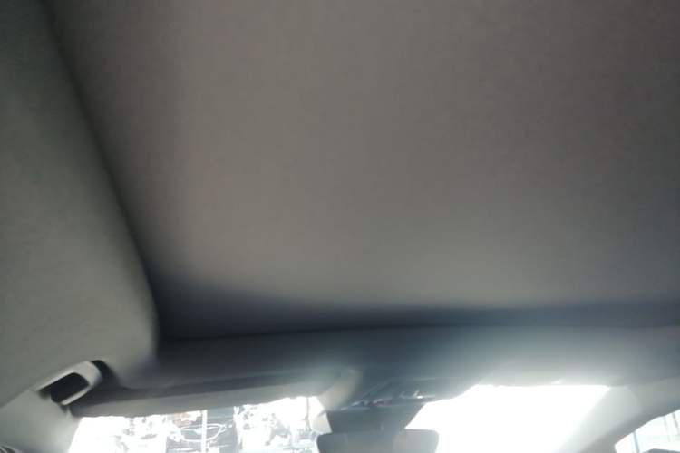 Used Cadillac OPTIQ 2024 Four-Wheel Drive Long-Range Version Headliner