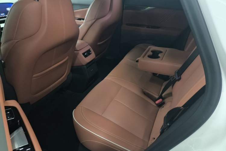 Used Cadillac OPTIQ 2024 Four-Wheel Drive Long-Range Version Left Rear Seat