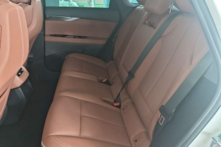 Used Cadillac OPTIQ 2024 Four-Wheel Drive Long-Range Version Left Rear Seat