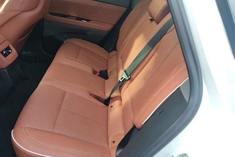 Used Cadillac OPTIQ 2024 Four-Wheel Drive Long-Range Version Left Rear Seat
