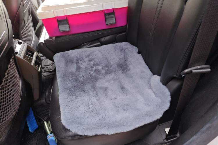 Used Cadillac SRX 2010 3.0L Flagship Edition Left Rear Seat