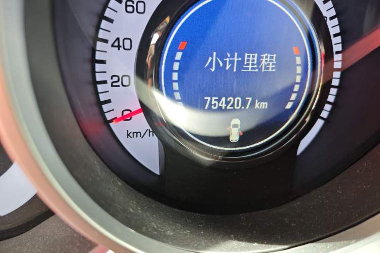Used Cadillac SRX 2010 3.0L Flagship Edition Odometer Close Up