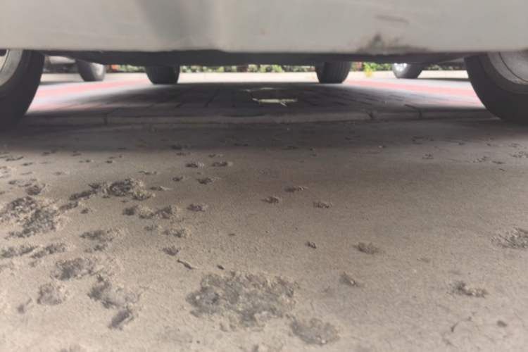 Used Cadillac SRX 2012 3.0L Leading Model Chassis Front