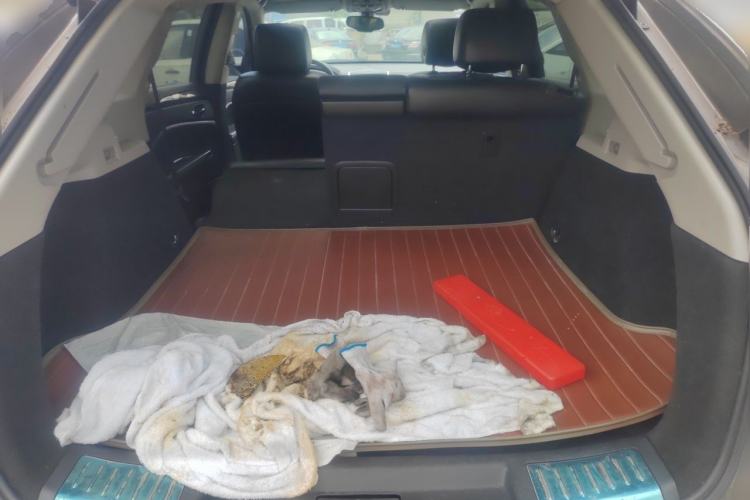 Used Cadillac SRX 2014 3.0L Comfort Model Trunk