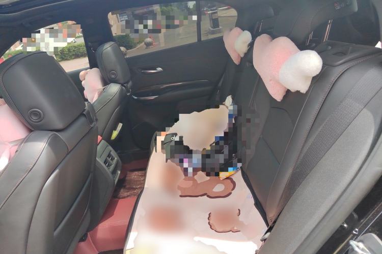 Used Cadillac XT4 2020 28T 4x4 Platinum Sport Edition Left Rear Seat