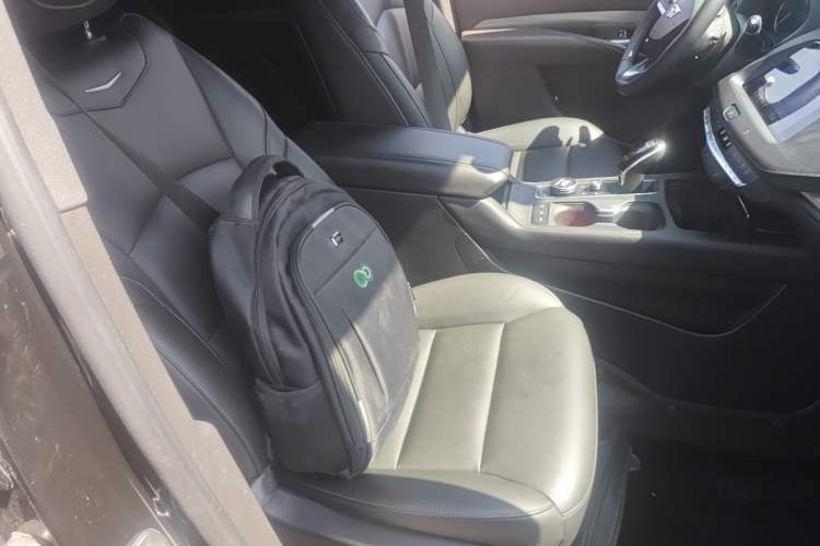 Used Cadillac XT4 2020 28T Two-Wheel-Drive Leading Version Right Front Seat