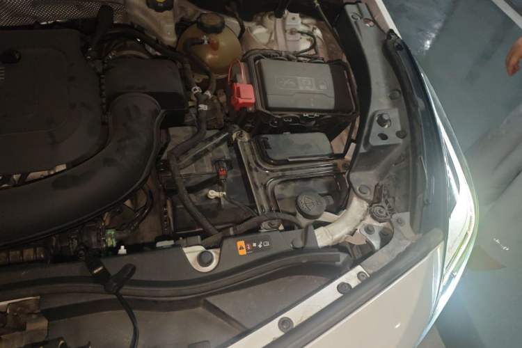 Used Cadillac XT4 2020 Revised Version 28T Two-Wheel Drive Leading Edition Engine Bay Left