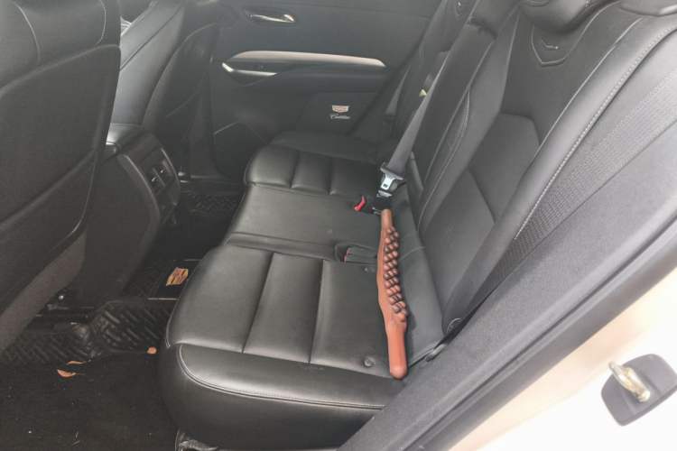Used Cadillac XT4 2020 28T Two-Wheel-Drive Leading Version Left Rear Seat