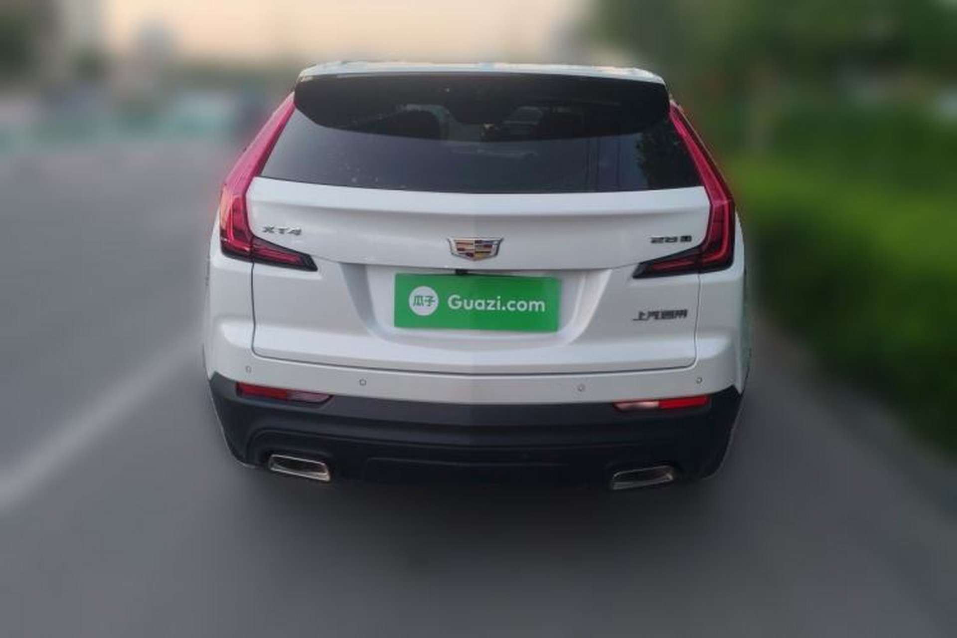 Used Cadillac XT4 2020 Revised Version 28T Two-Wheel Drive Tech Edition Rear